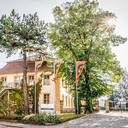 Stadtschloss Hecklingen*** Hecklingen  Exteriör bild