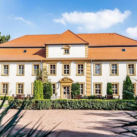 Stadtschloss Hecklingen*** Hecklingen  Exteriör bild